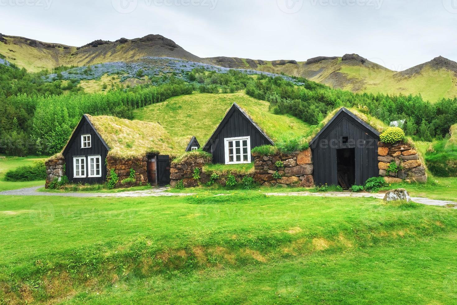 A small wooden church and cemetery Hofskirkja Hof, Skaftafell Iceland. Scenic sunset through tree crowns photo