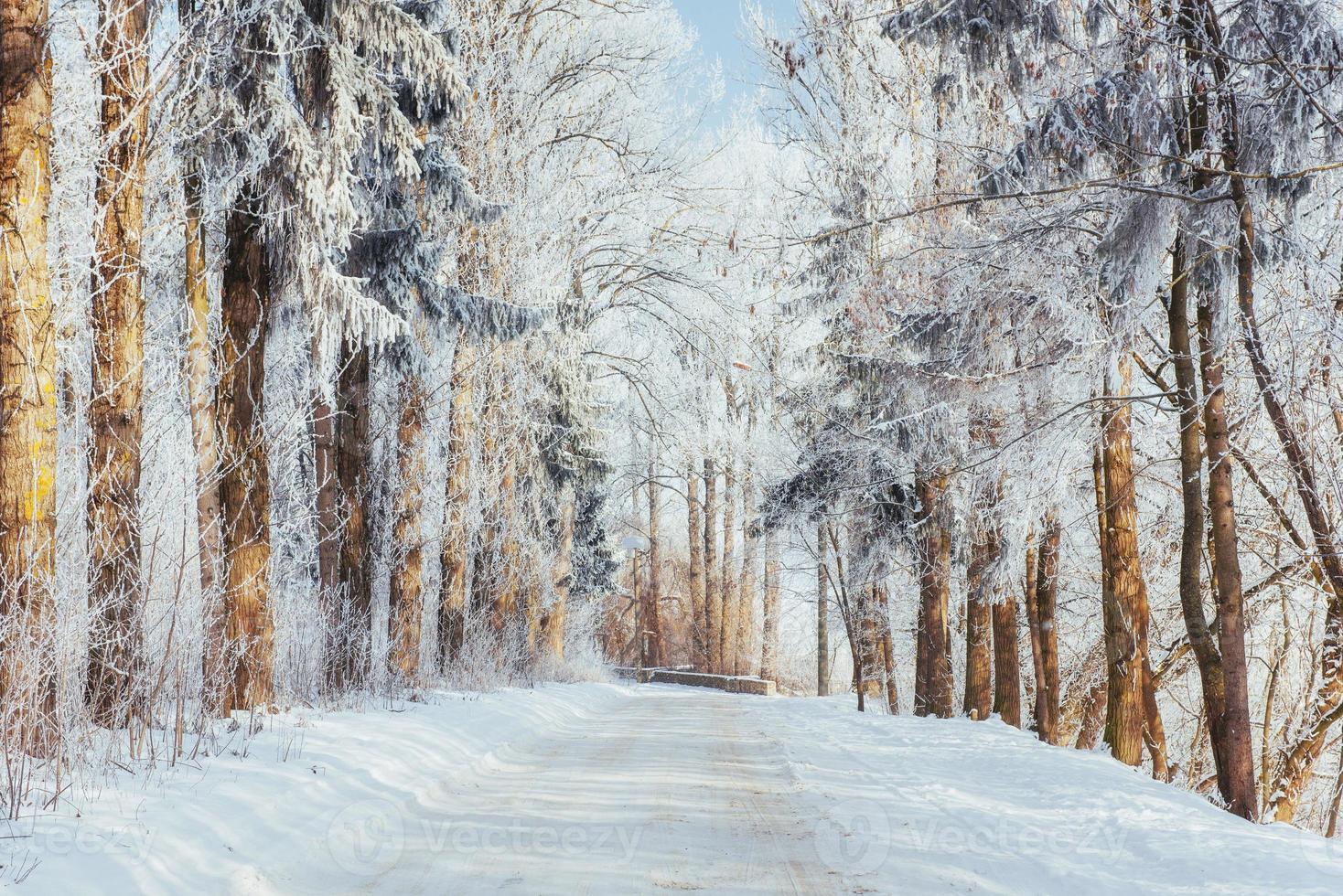 the winter road. Dramatic scene. Carpathian, Ukraine, Europe. photo