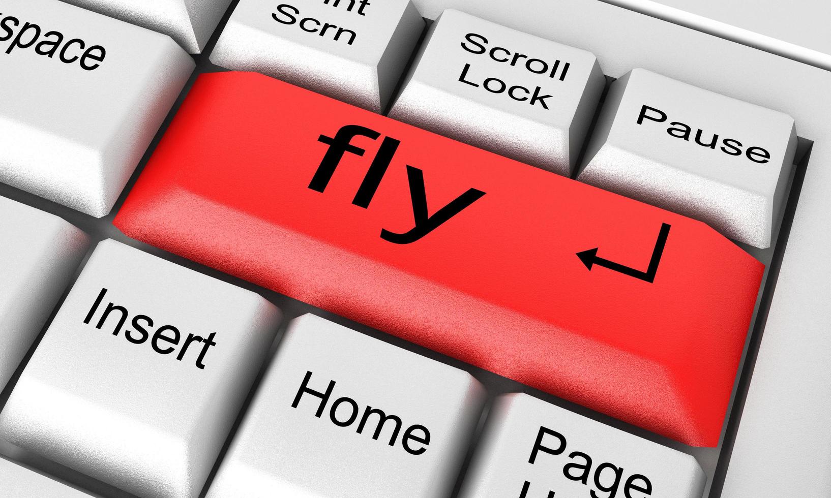 fly word on white keyboard photo