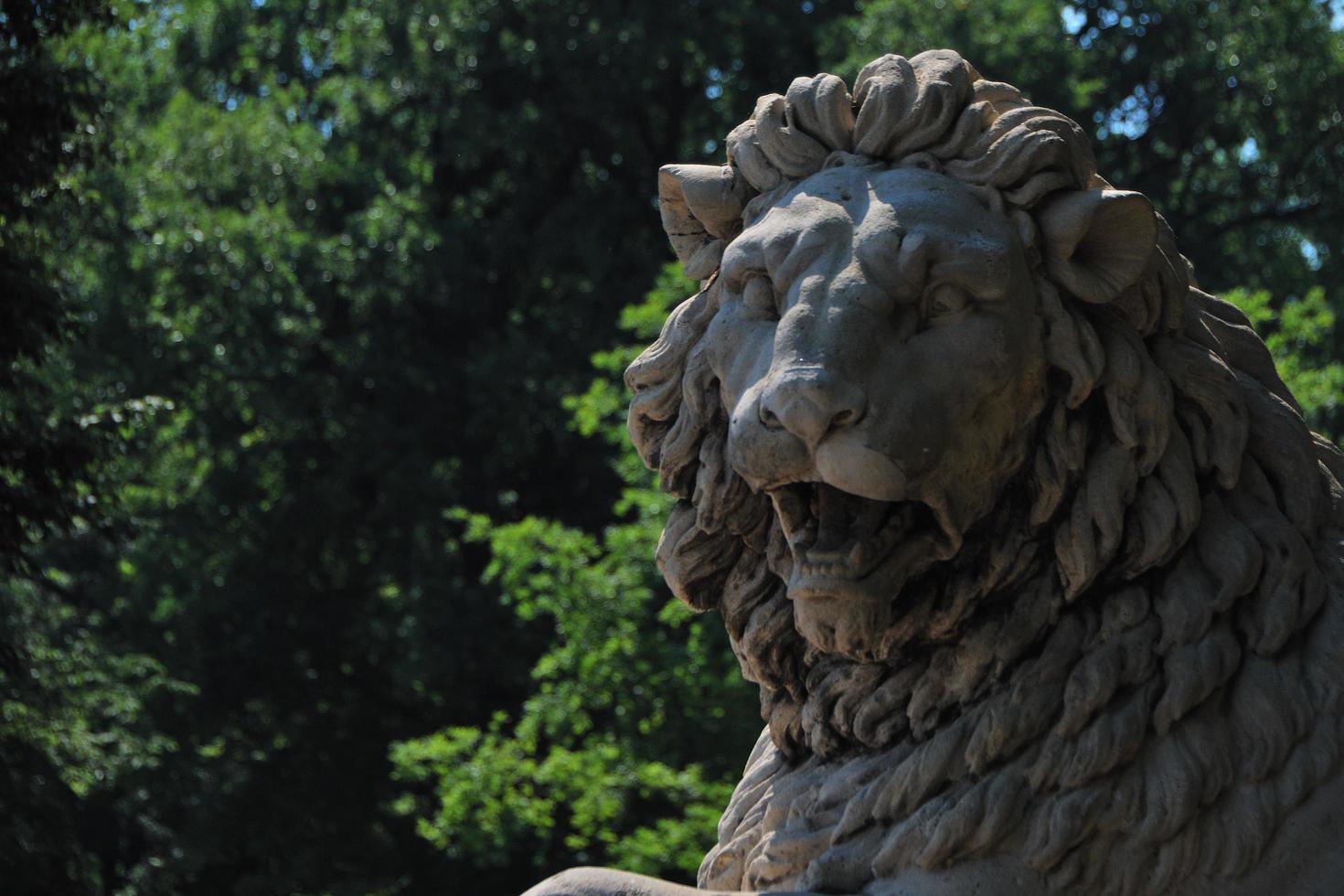 stone lion statue photo