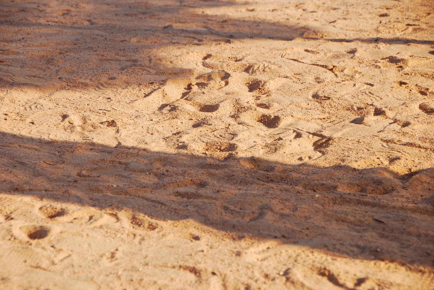 soft warm sandy beach by the sea and summer photo