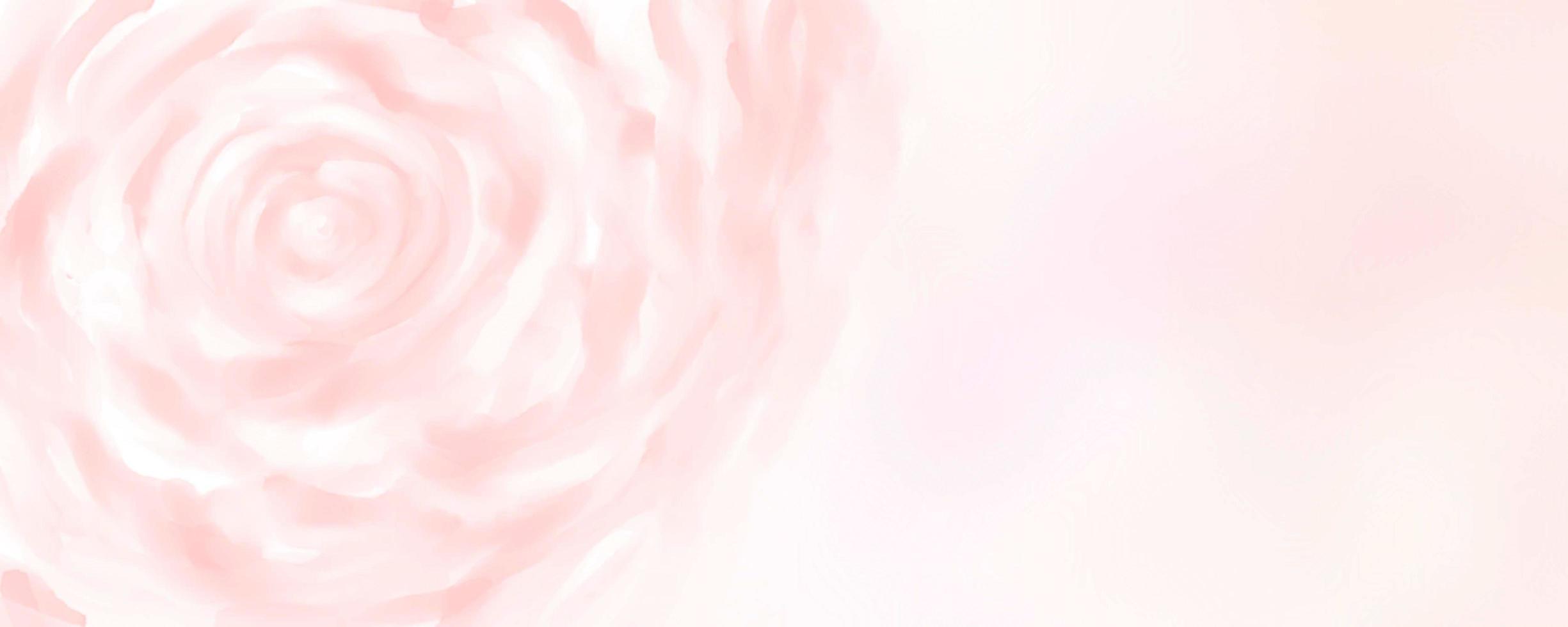flor de fondo rosa, rosa floral foto