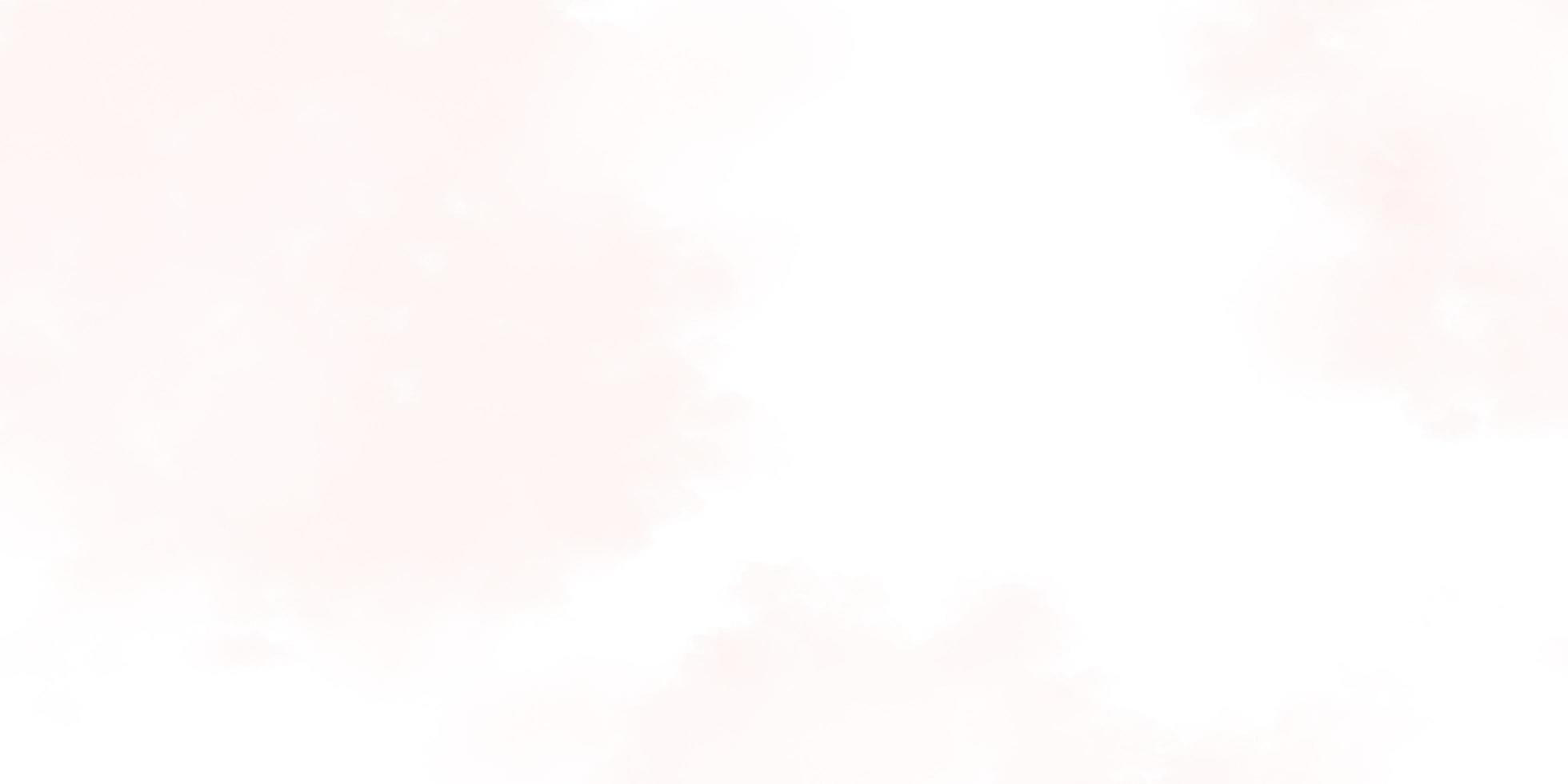 White background texture. white pattern photo