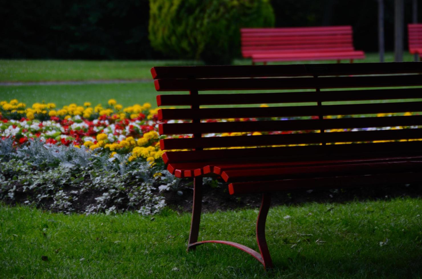 red park bench photo