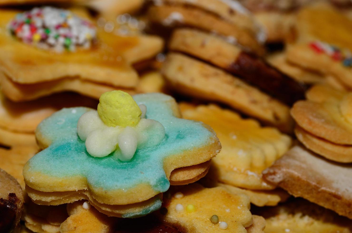 christmas cookie with sugar photo