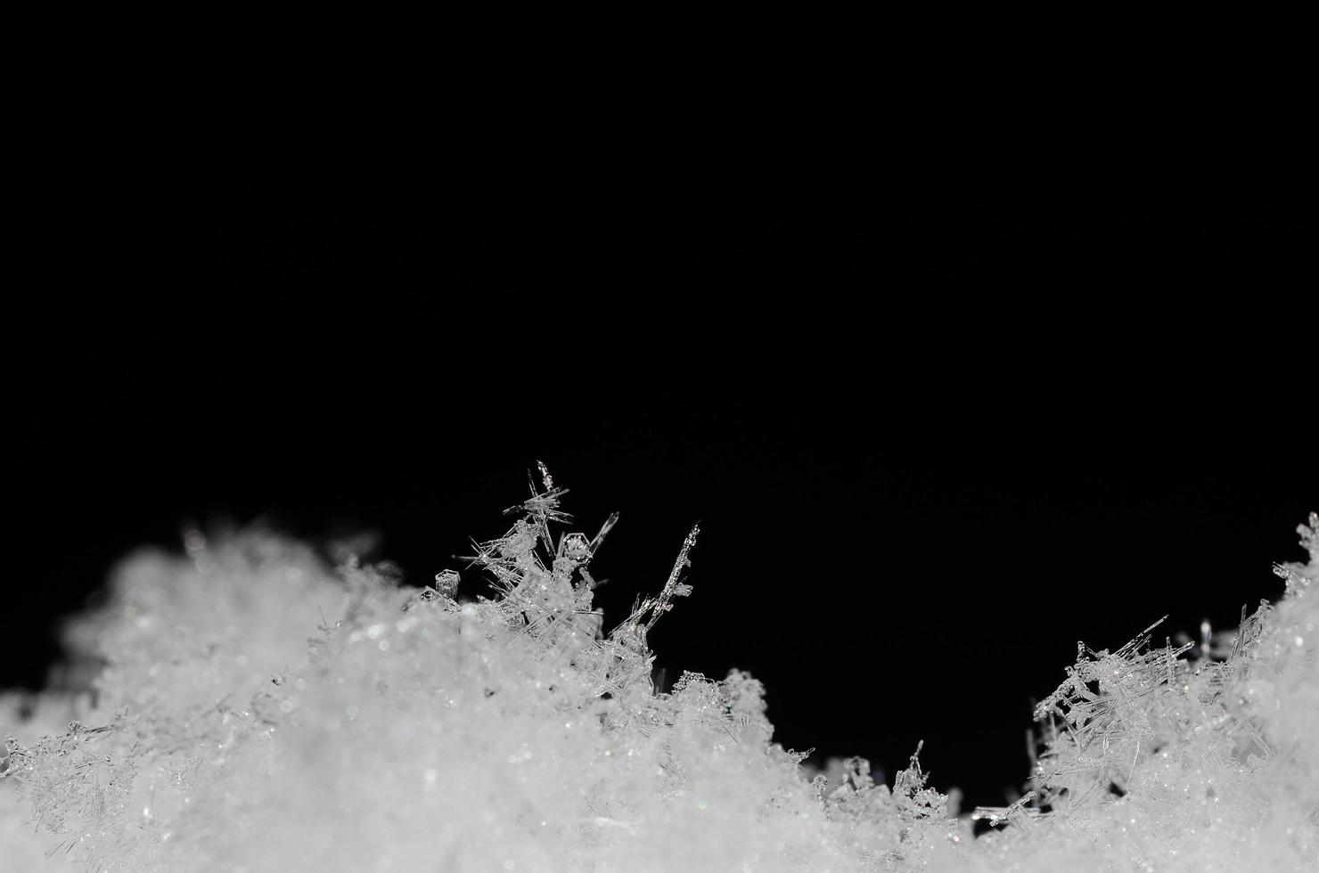 delicate snow crystals photo