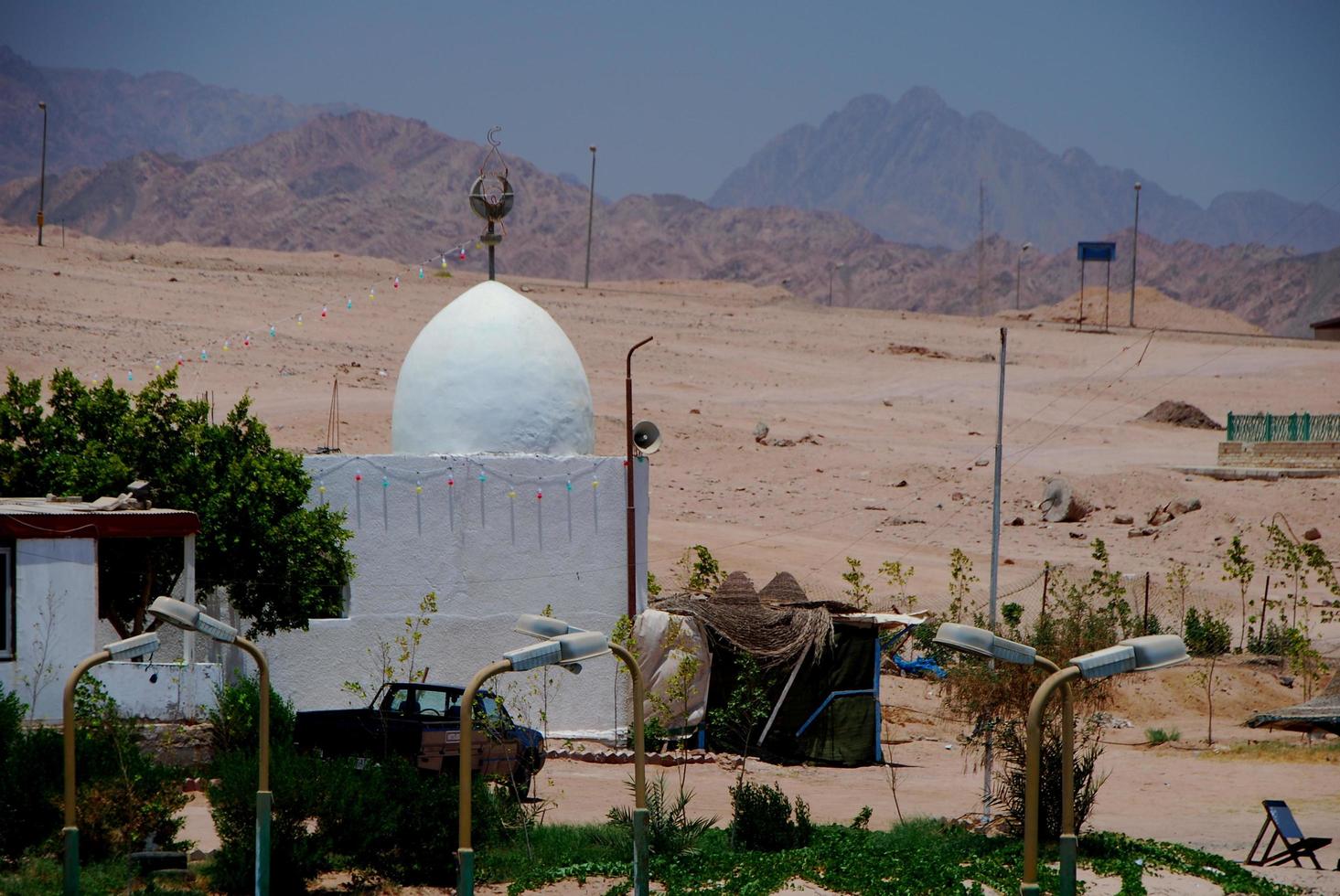 buildings in white and palm trees photo