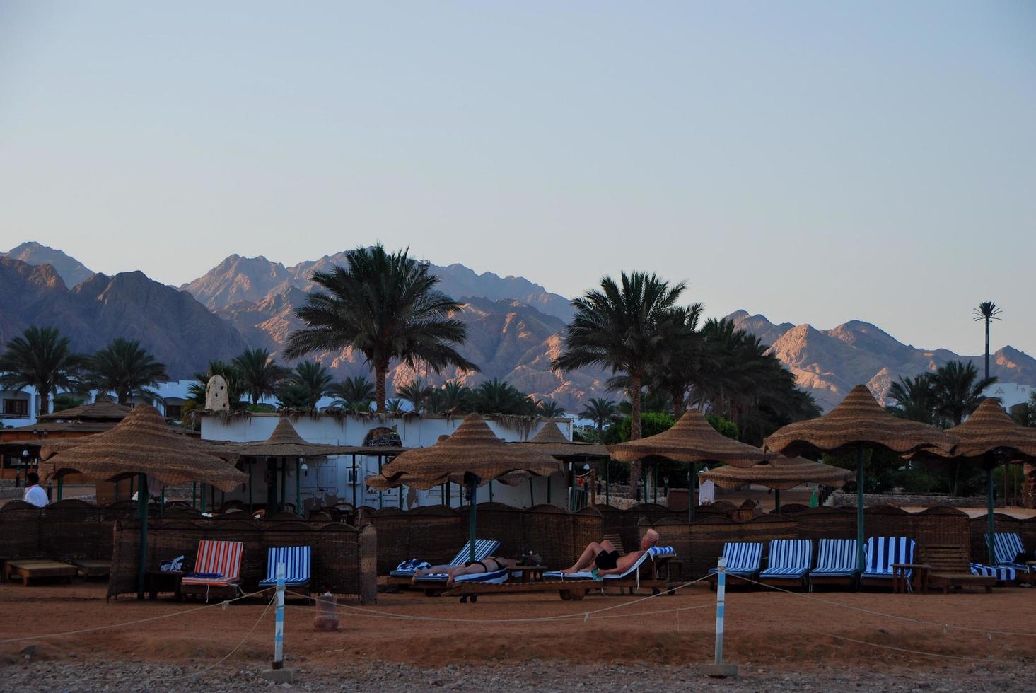 beautiful sandy beach with umbrellas and beach chairs photo