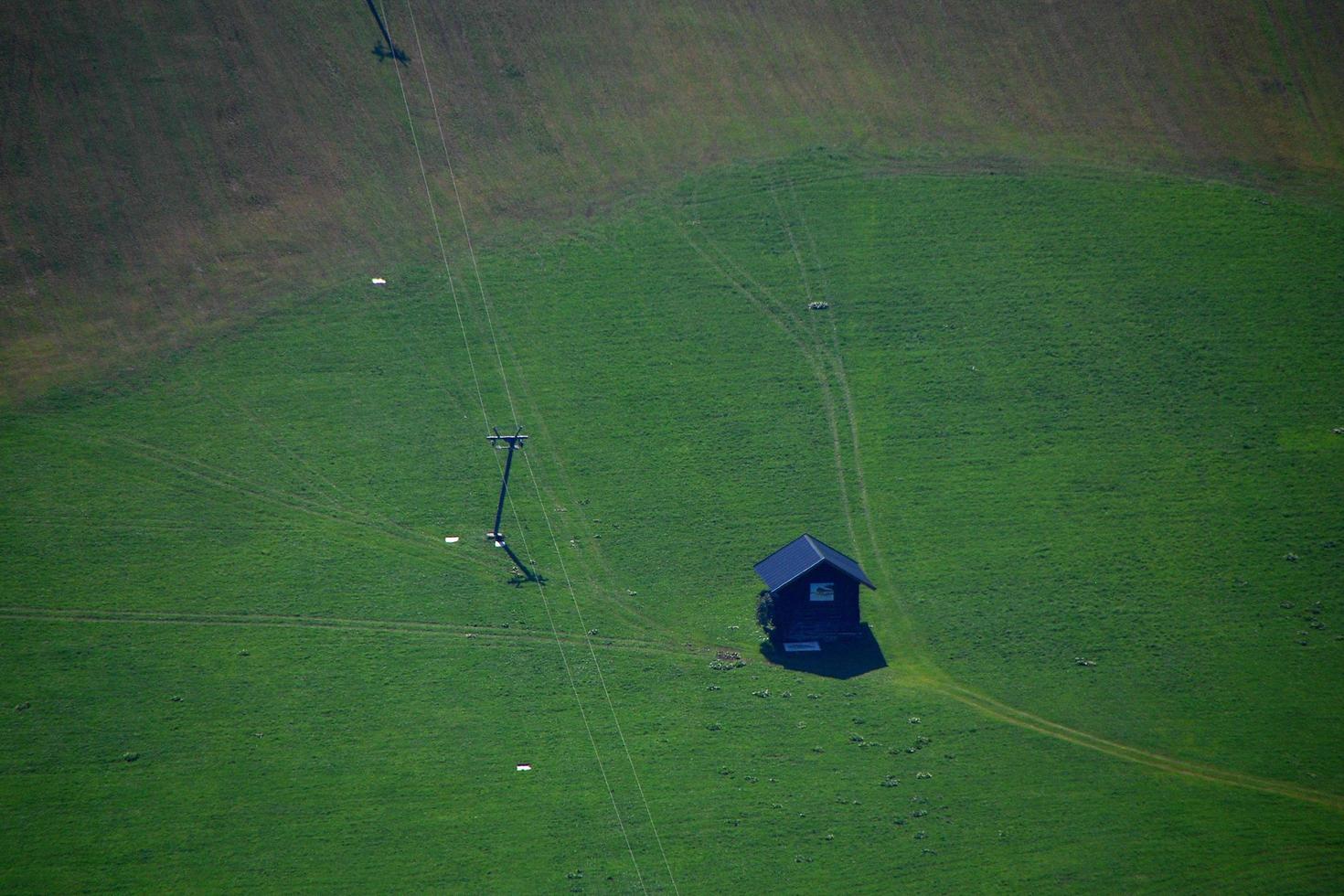 house on a green alm photo
