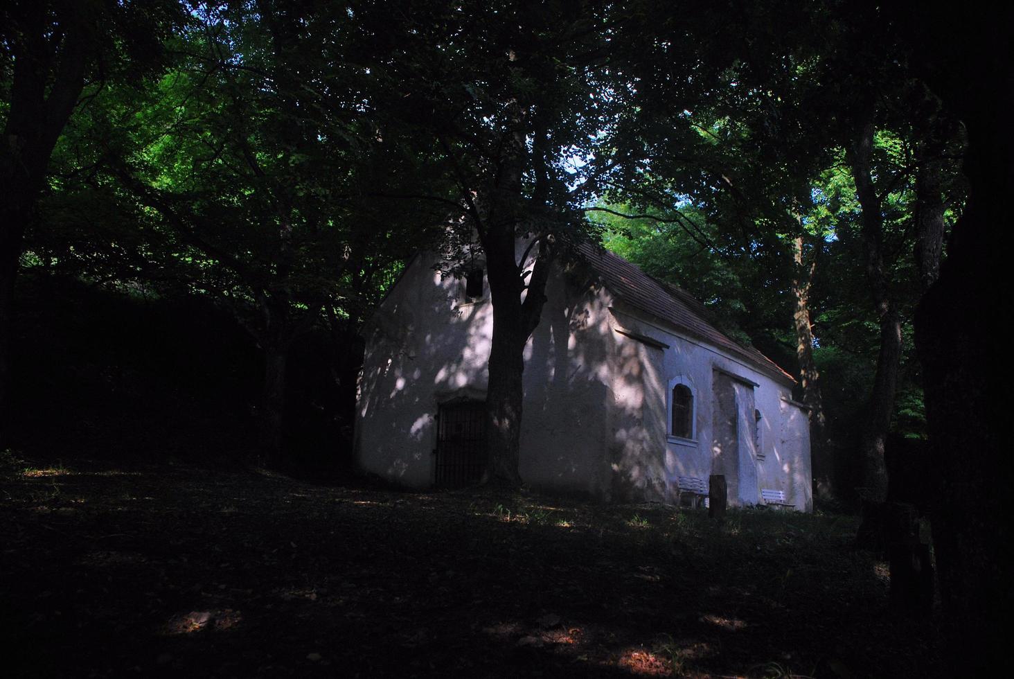 antigua iglesia en el bosque foto