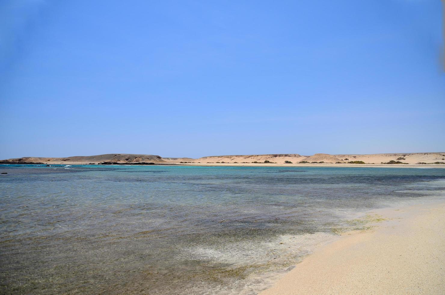 beach with reef in desert photo
