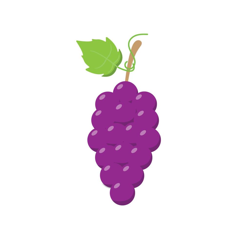 Grape Flat Illustration. Clean Icon Design Element on Isolated White Background vector