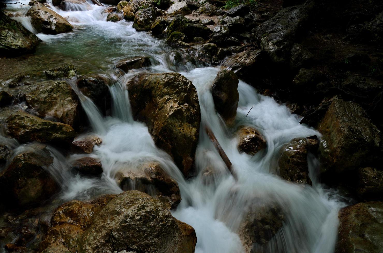 wild water creek photo