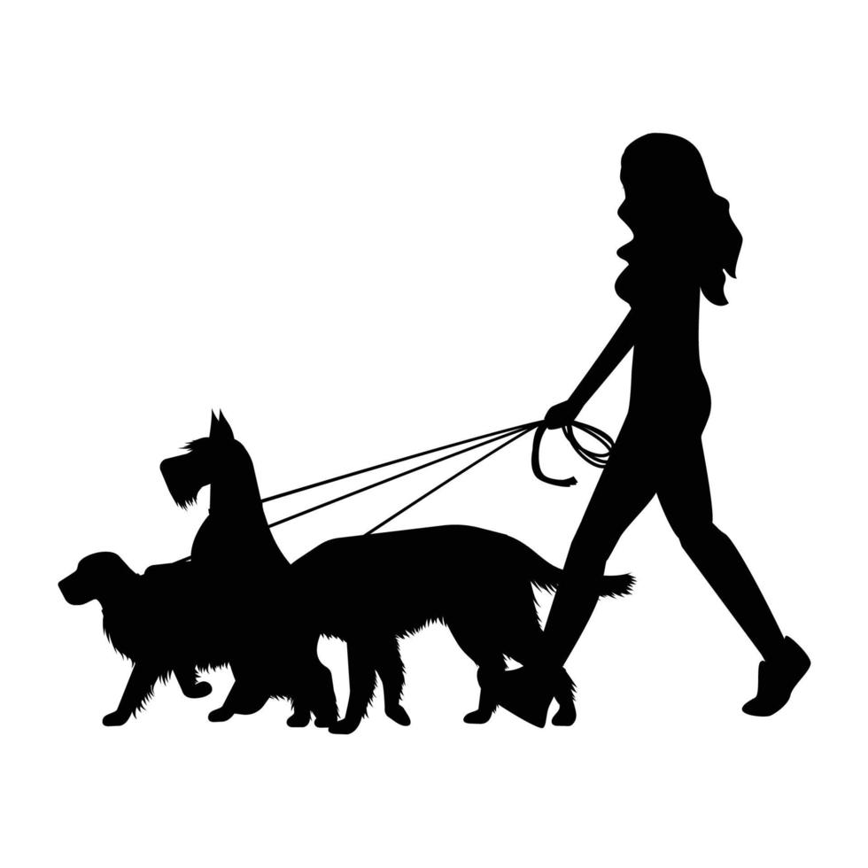 Woman walking dogs vector