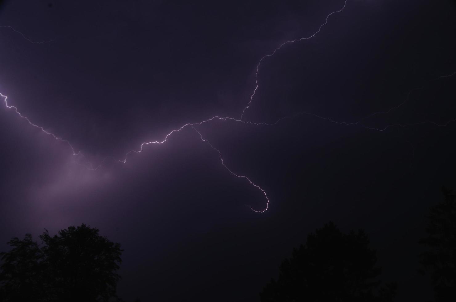 lightning and tree photo