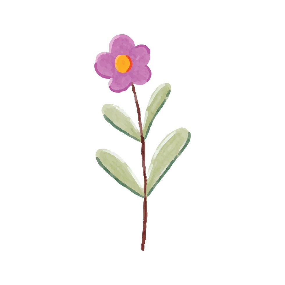 Wildflower Aster Hand Painted Watercolor Illustration vector