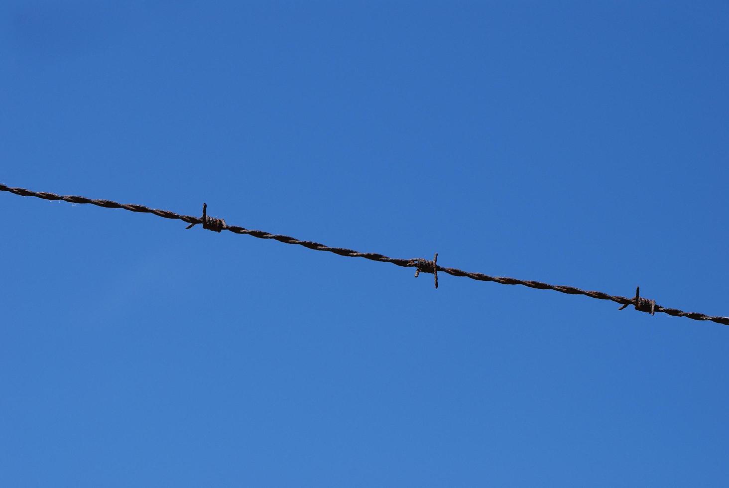 barbed wire single photo