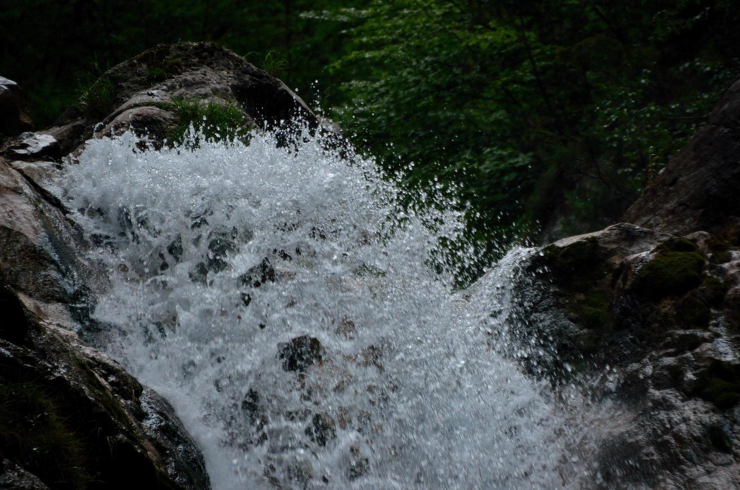 wild  water of waterfall photo