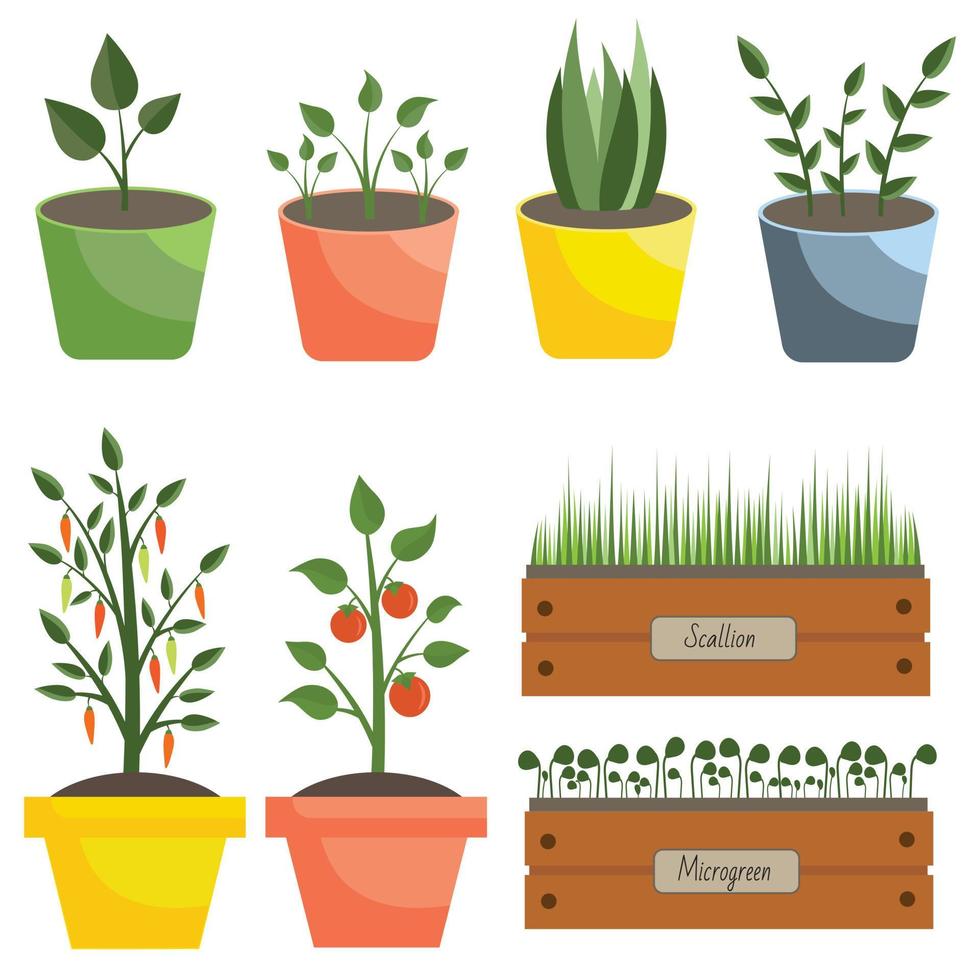 colección de diferentes plantas, macetas, vegetación. un conjunto de plantas en macetas para jardinería, balcón, creciendo en el alféizar de la ventana. vector