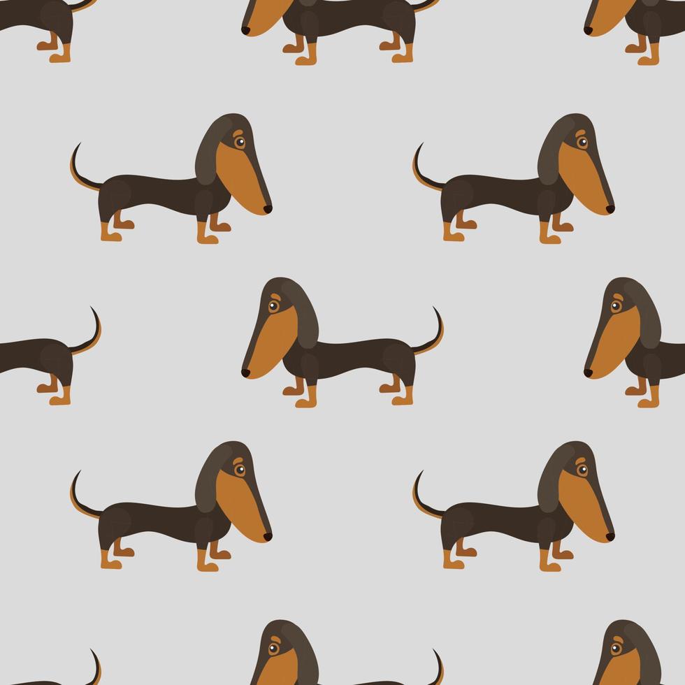 patrón de dibujos animados de perro dachshund inconsútil vector