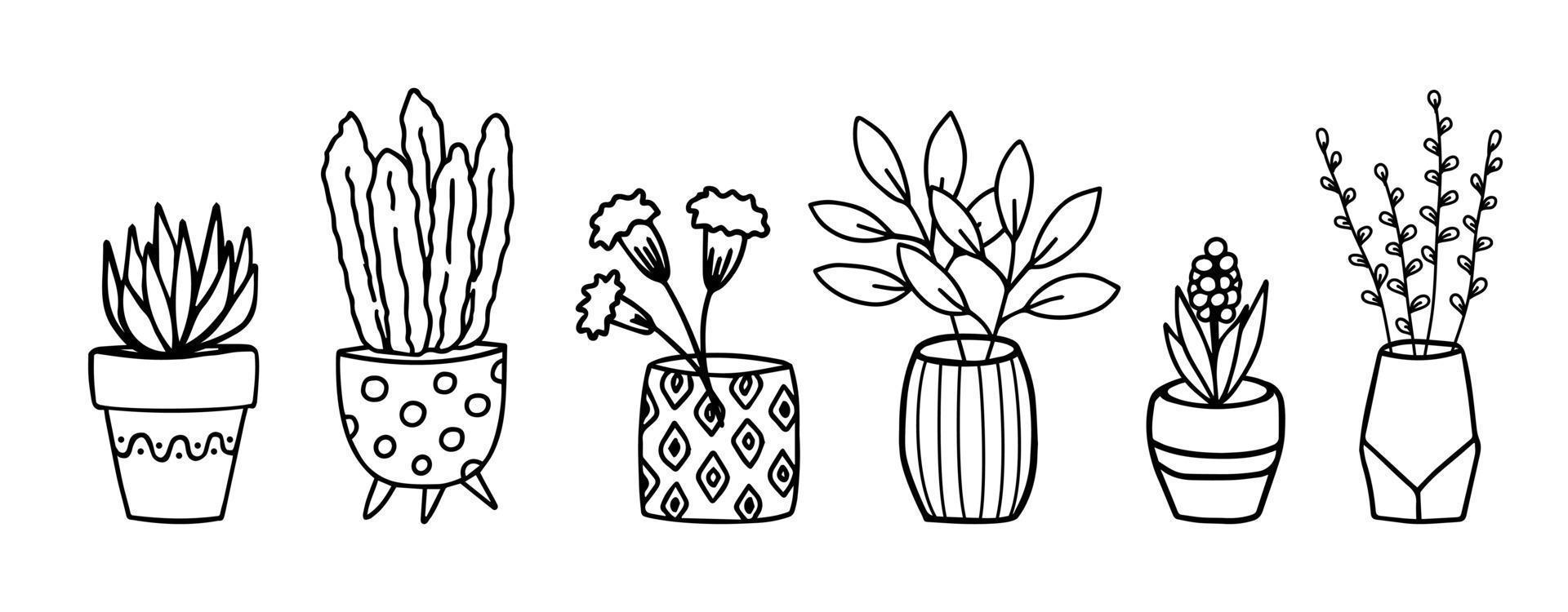 Flowers in pots and vases doodle hand drawn outline sketch. Decorative potted house plant sketch. Isolated vector illustration