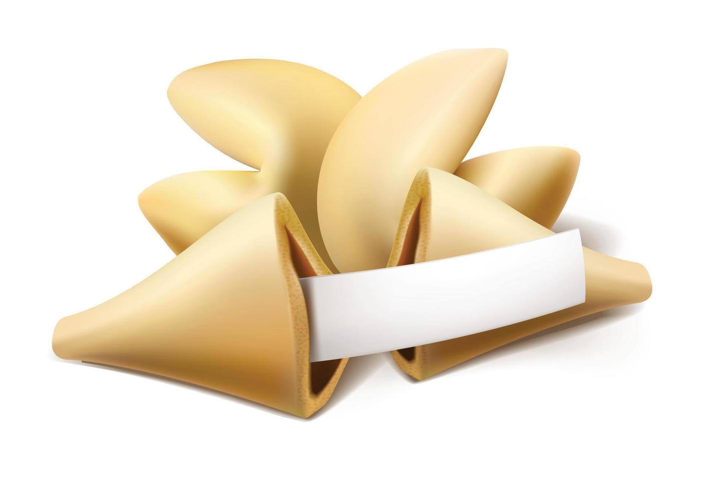 Fortune cookies. Chinese cookie open in half with paper wish. Isolated. vector