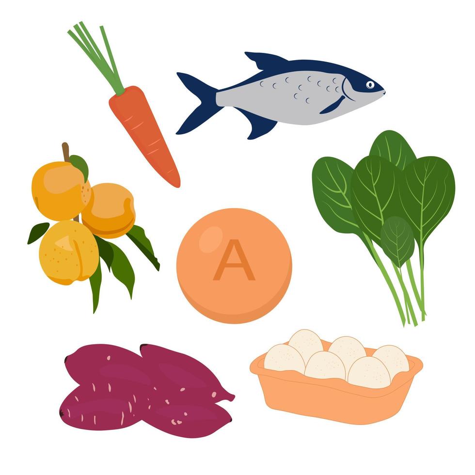 ilustración de stock de vector de vitamina a. espinaca, zanahoria, huevo, boniato, pescado. productos con un alto contenido en retinol y beta queratina. Aislado en un fondo blanco.