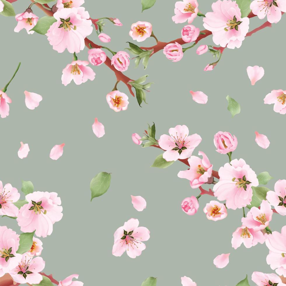 Elegant seamless pattern cherry blossom vector