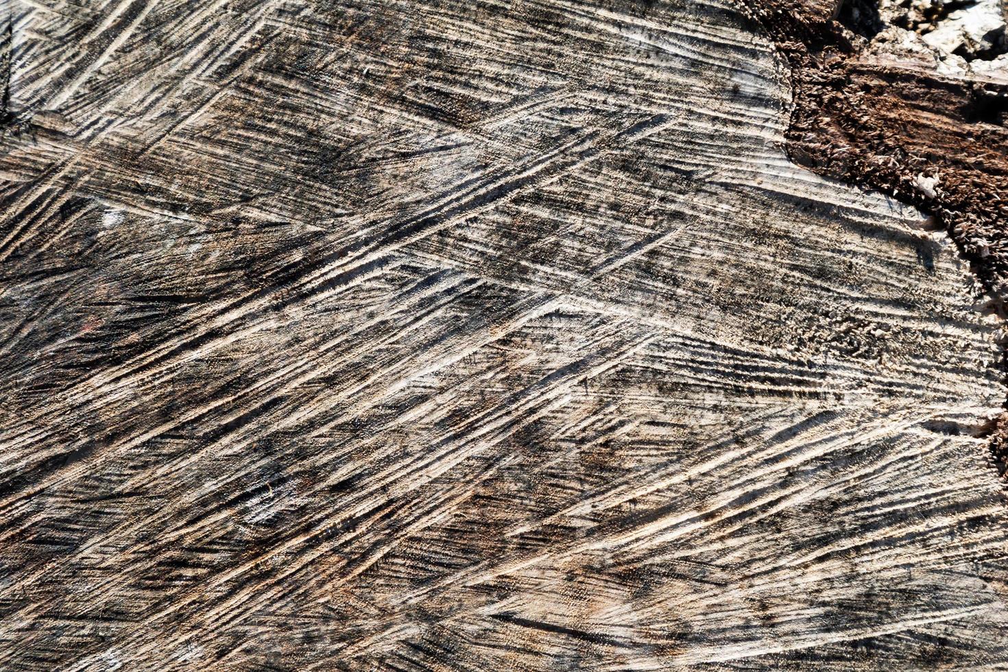 textura abstracta de madera. telón de fondo de superficie grunge. patrón de efecto de madera sucia. fondo material. foto