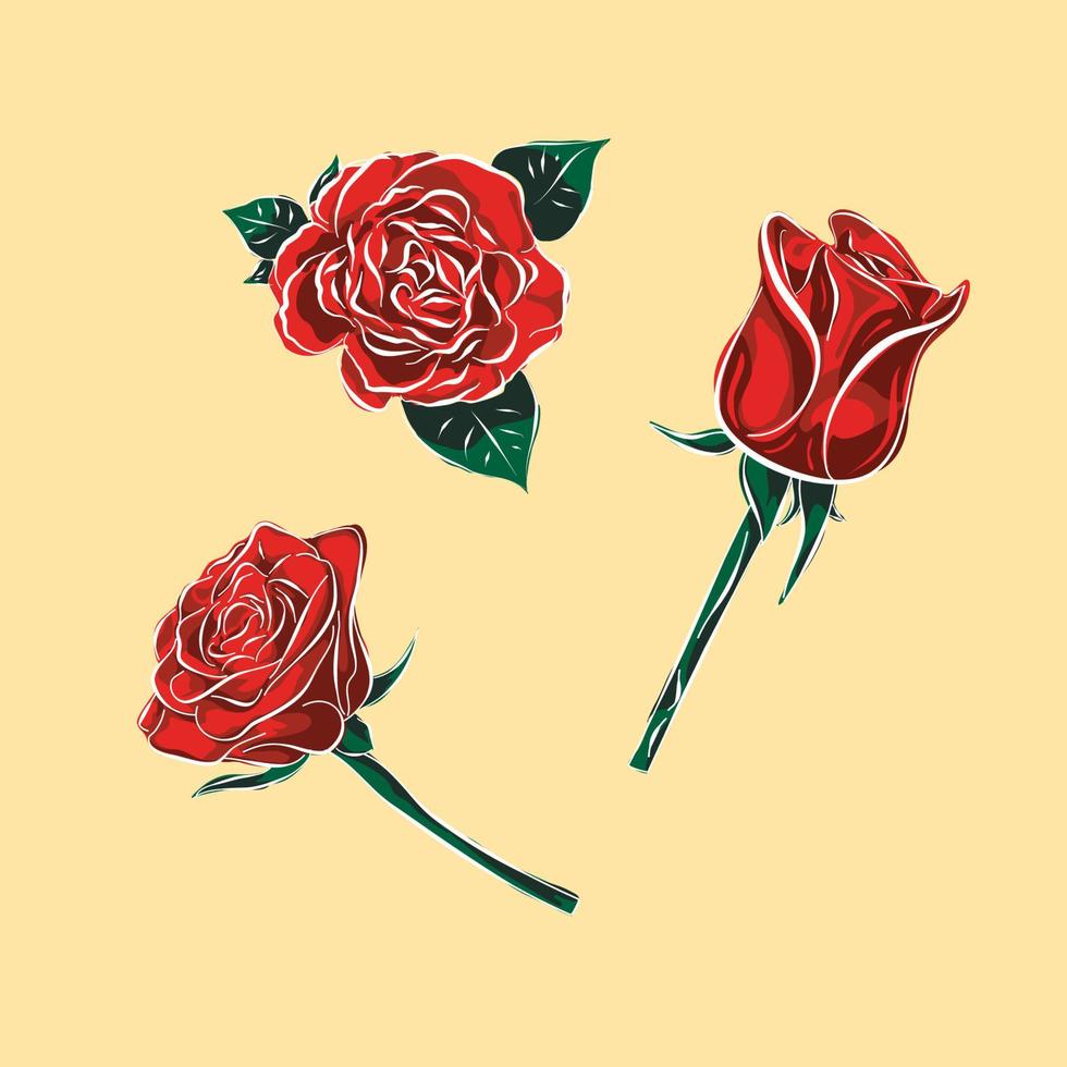 red rose vector illustration set