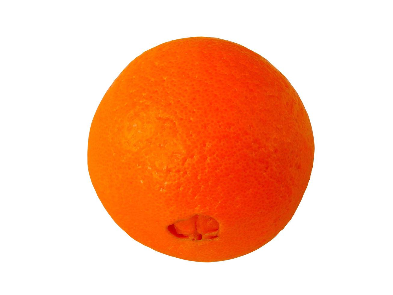 Orange slice isolated on white background photo