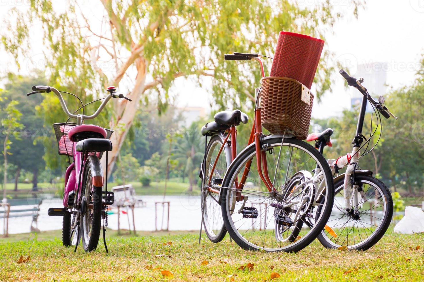 Vintage bicycle waiting on the grass photo