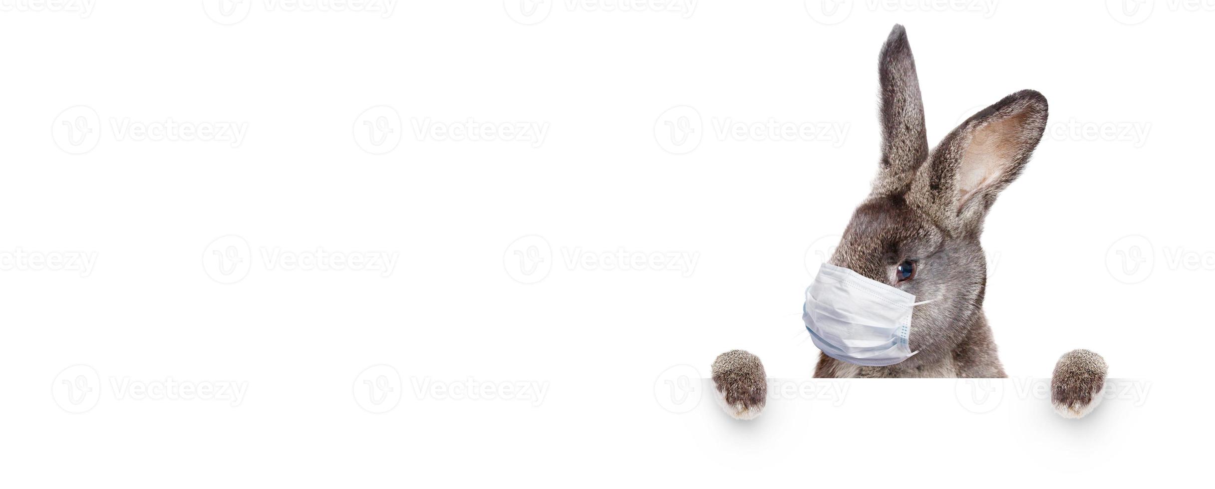 Easter rabbit with medical mask at epidemic time photo