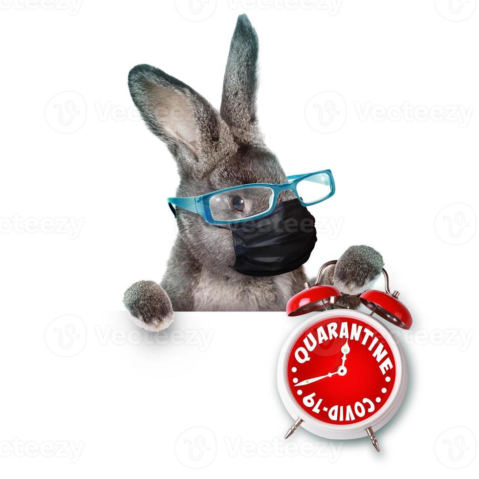 Easter rabbit with medical mask at epidemic time photo