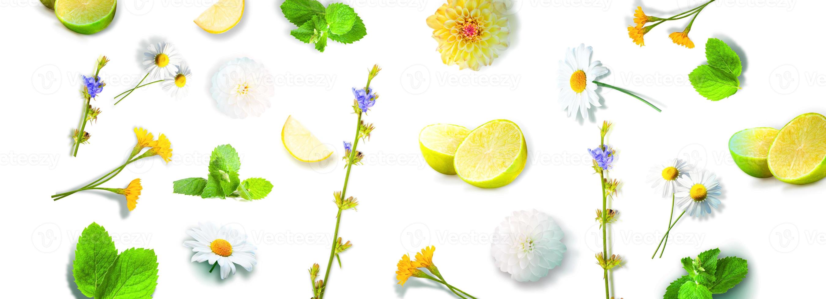 Flowers and herbs. Spring creative floral composition. photo