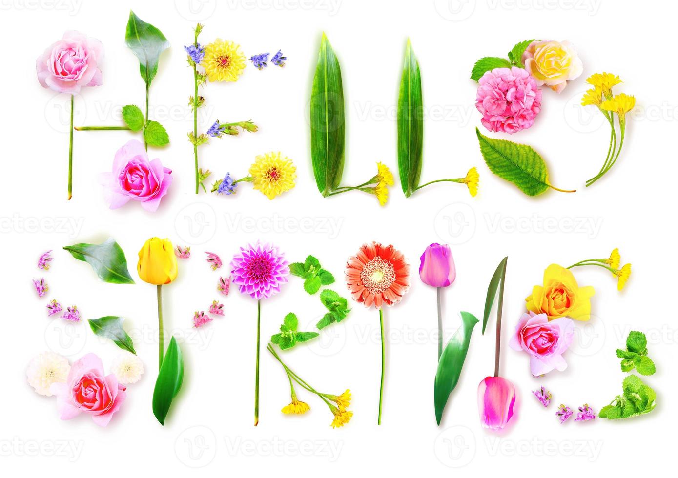 Flowers and herbs with word spring. Creative floral composition. photo