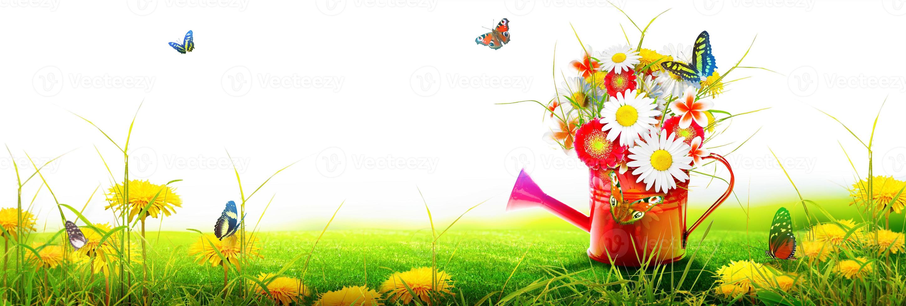 Colorful wild flower bouquet in a watering can with butterflies. photo