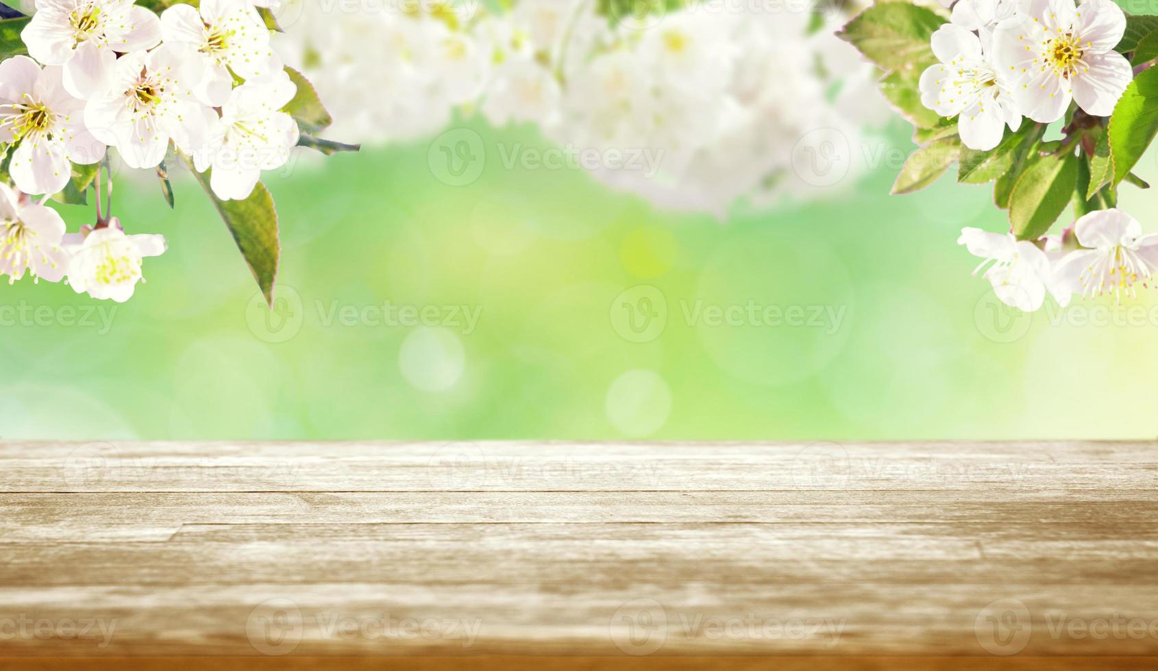 Beautiful nature view of spring flowering trees on blurred background. photo