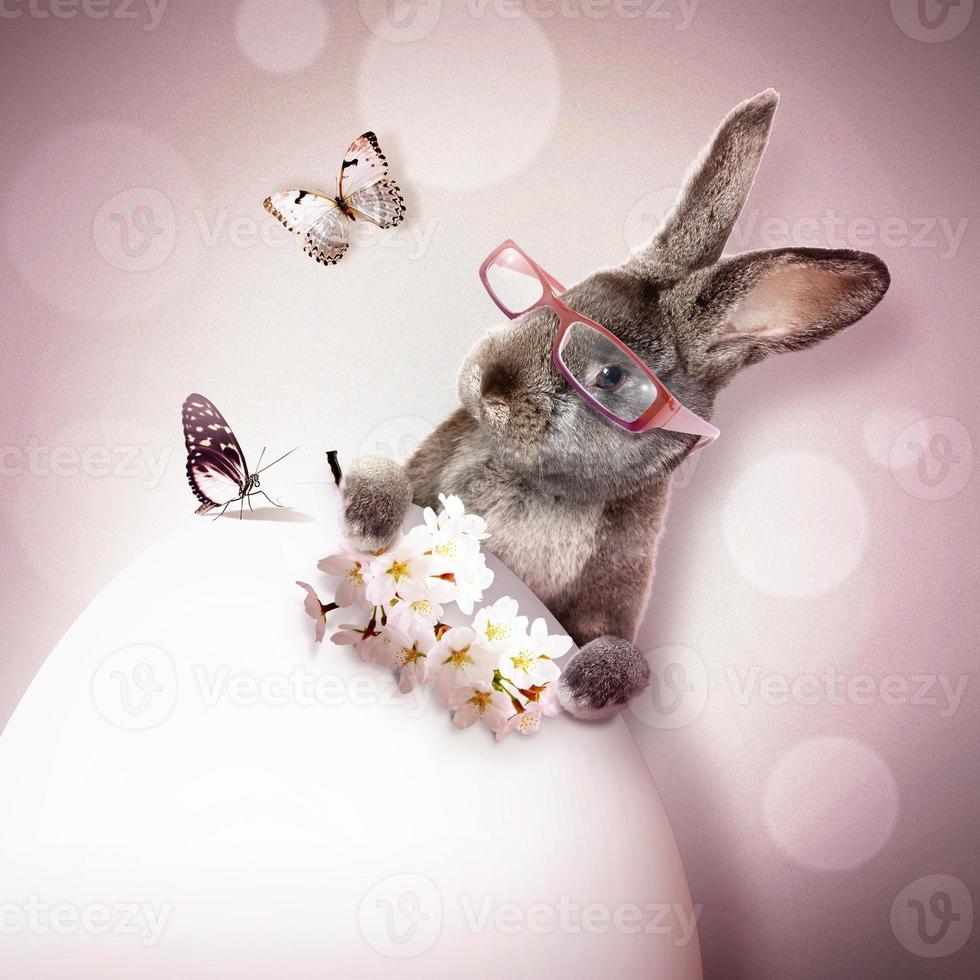 Funny Easter bunny. Happy Easter holiday concept. photo