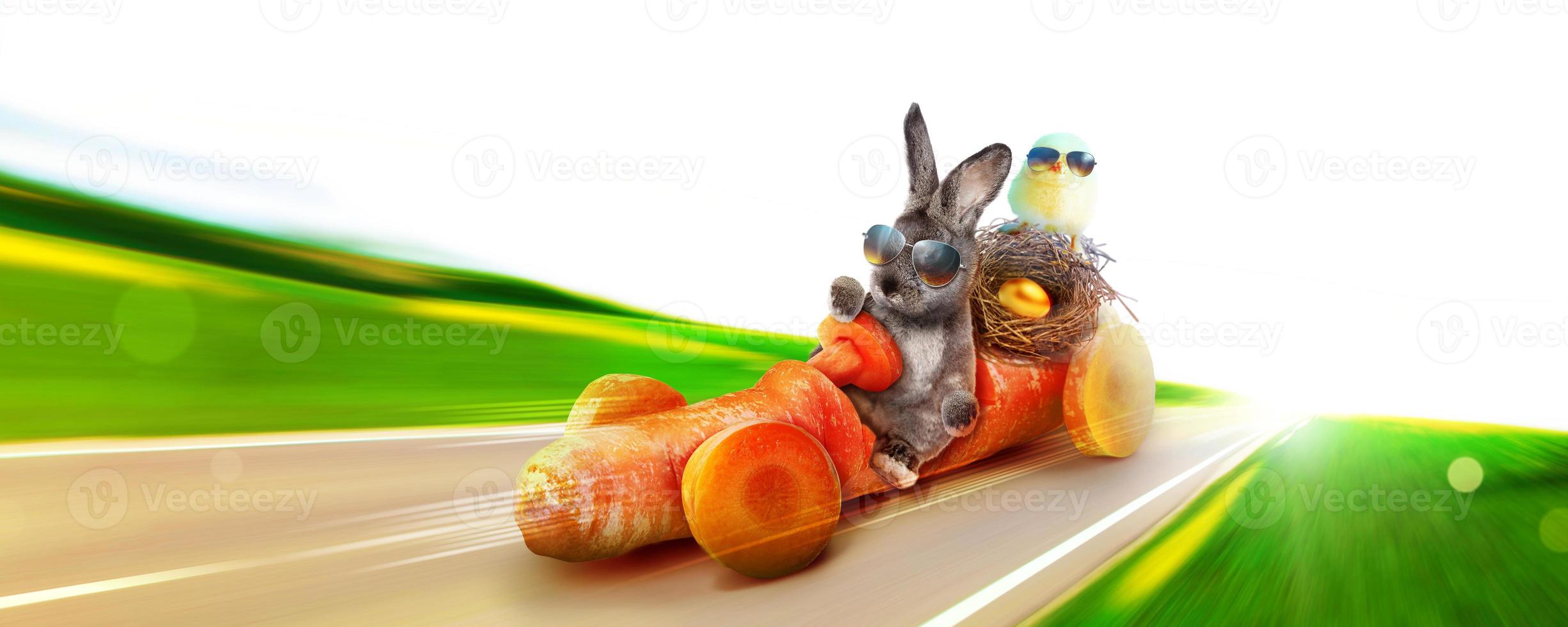 Funny Easter bunny. Happy Easter holiday concept. photo