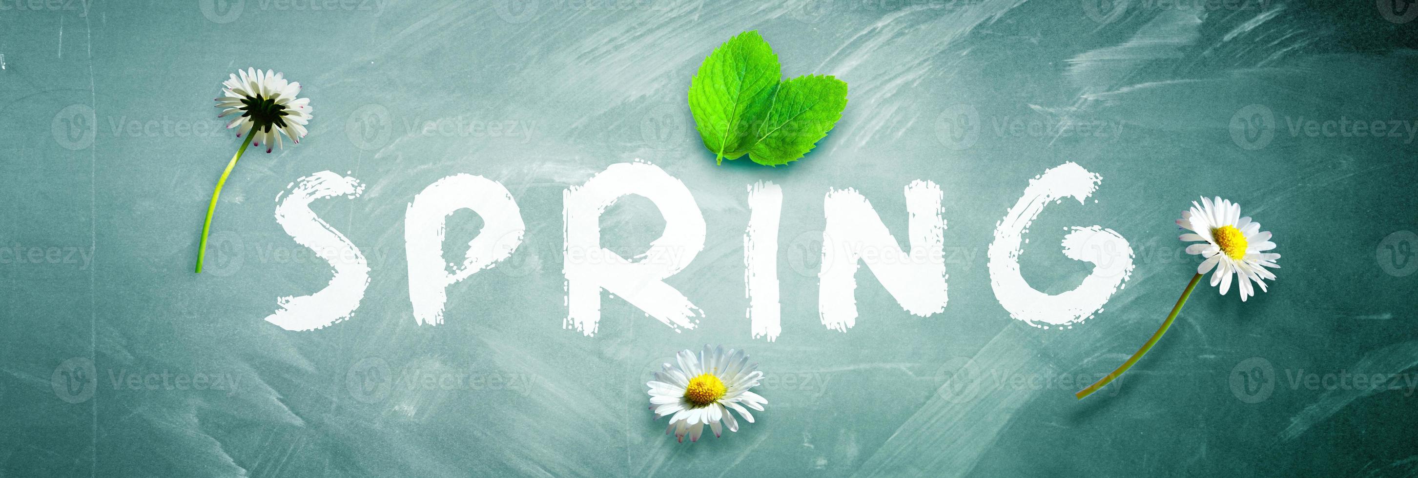 Funny spring word witten on chalkboad background. photo