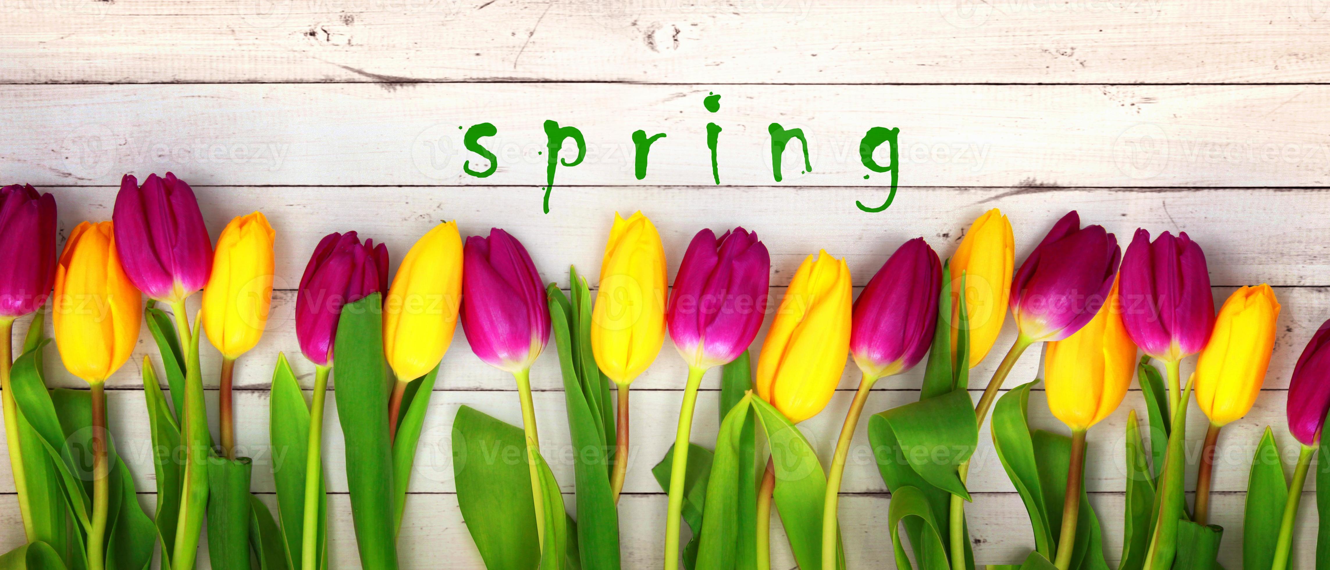 Spring Nature Facebook Covers