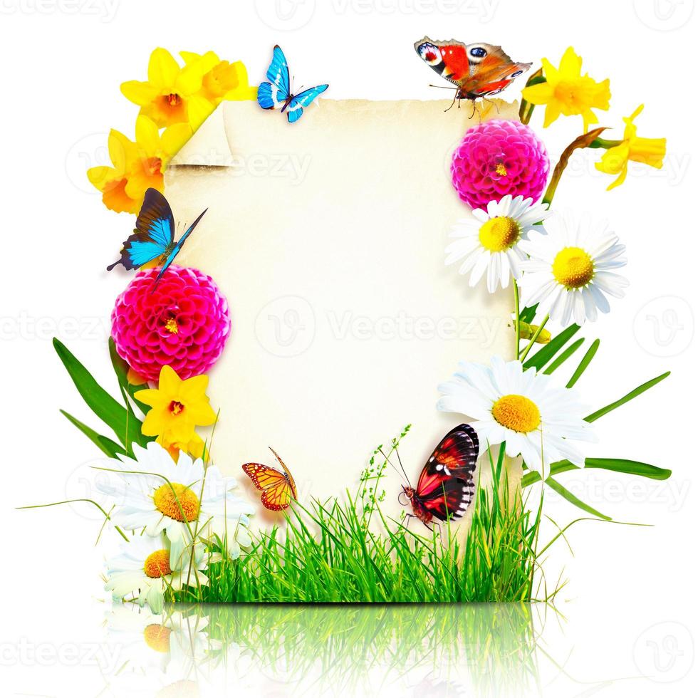 Flowers composition. Photo frame, spring flowers on parchment background.