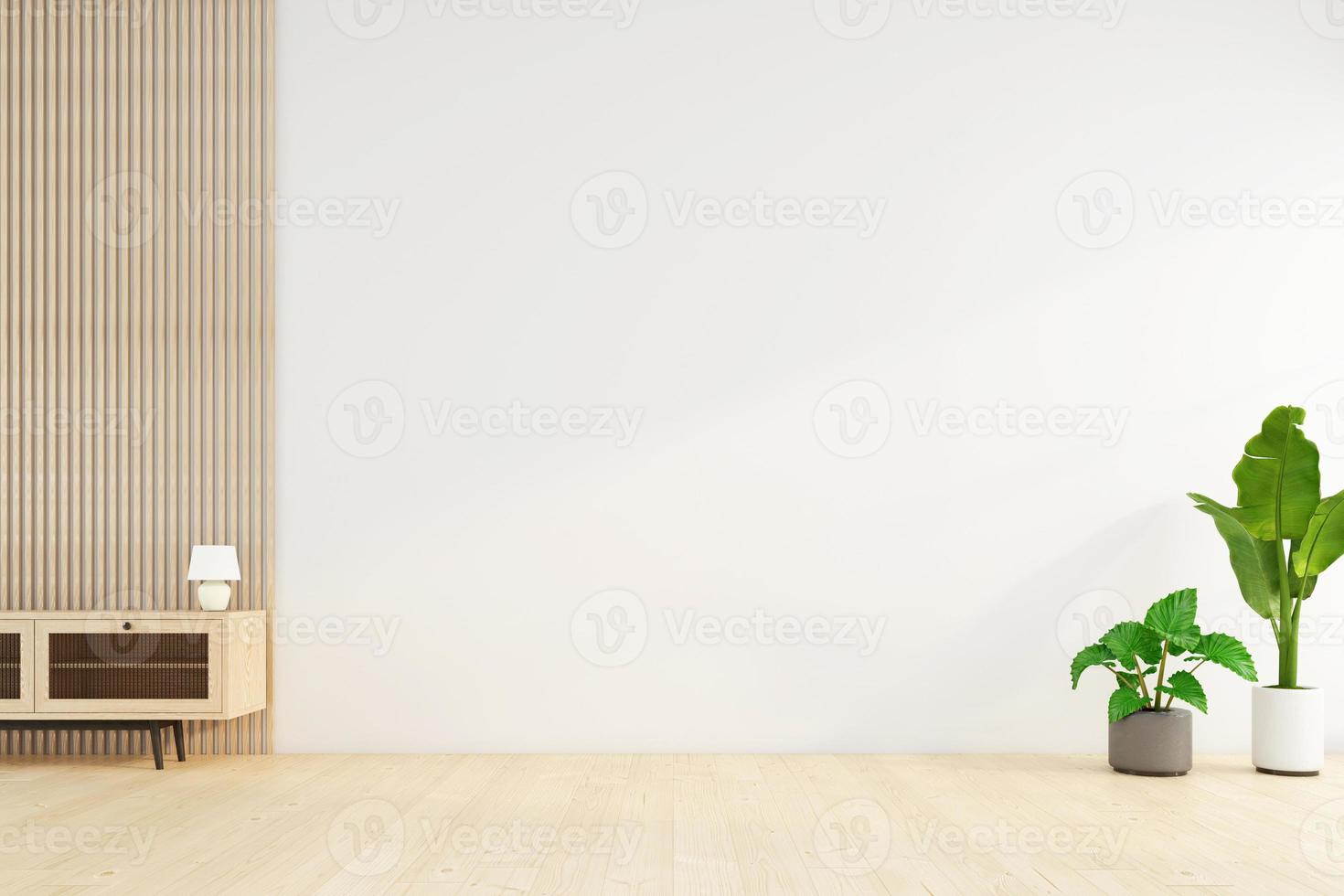 Minimalist empty room with white wall and green plant. 3d rendering photo