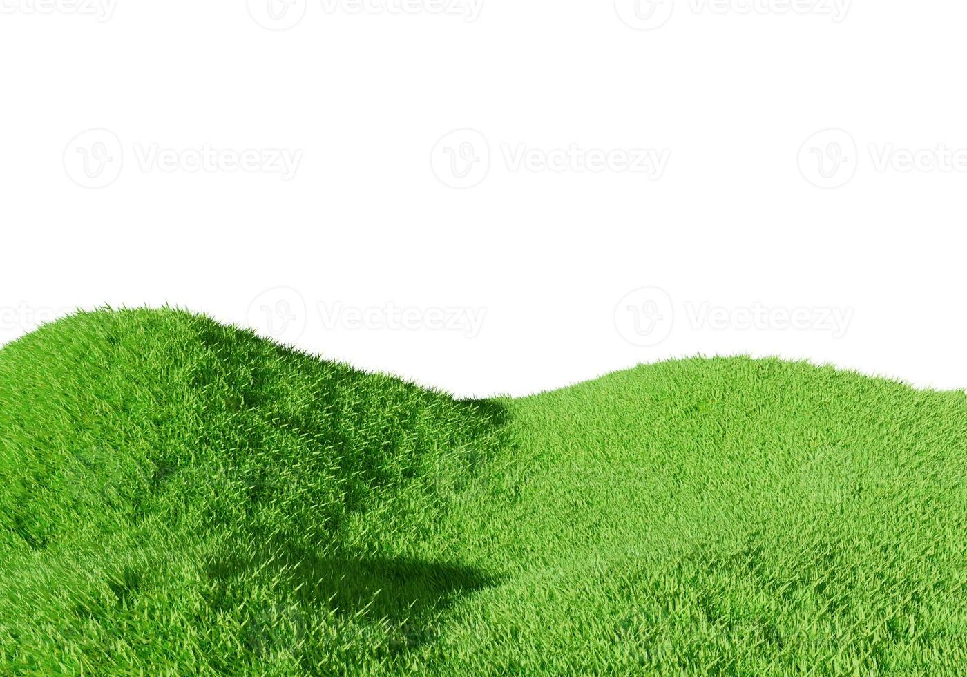 3d rendering. Green grass field isolated on white background. photo