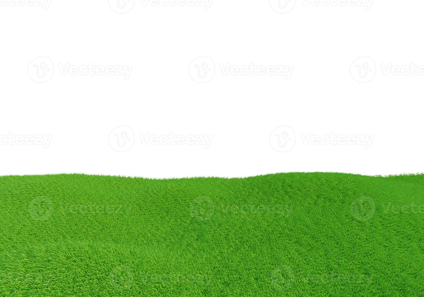 3d rendering. Green grass field isolated on white background. photo
