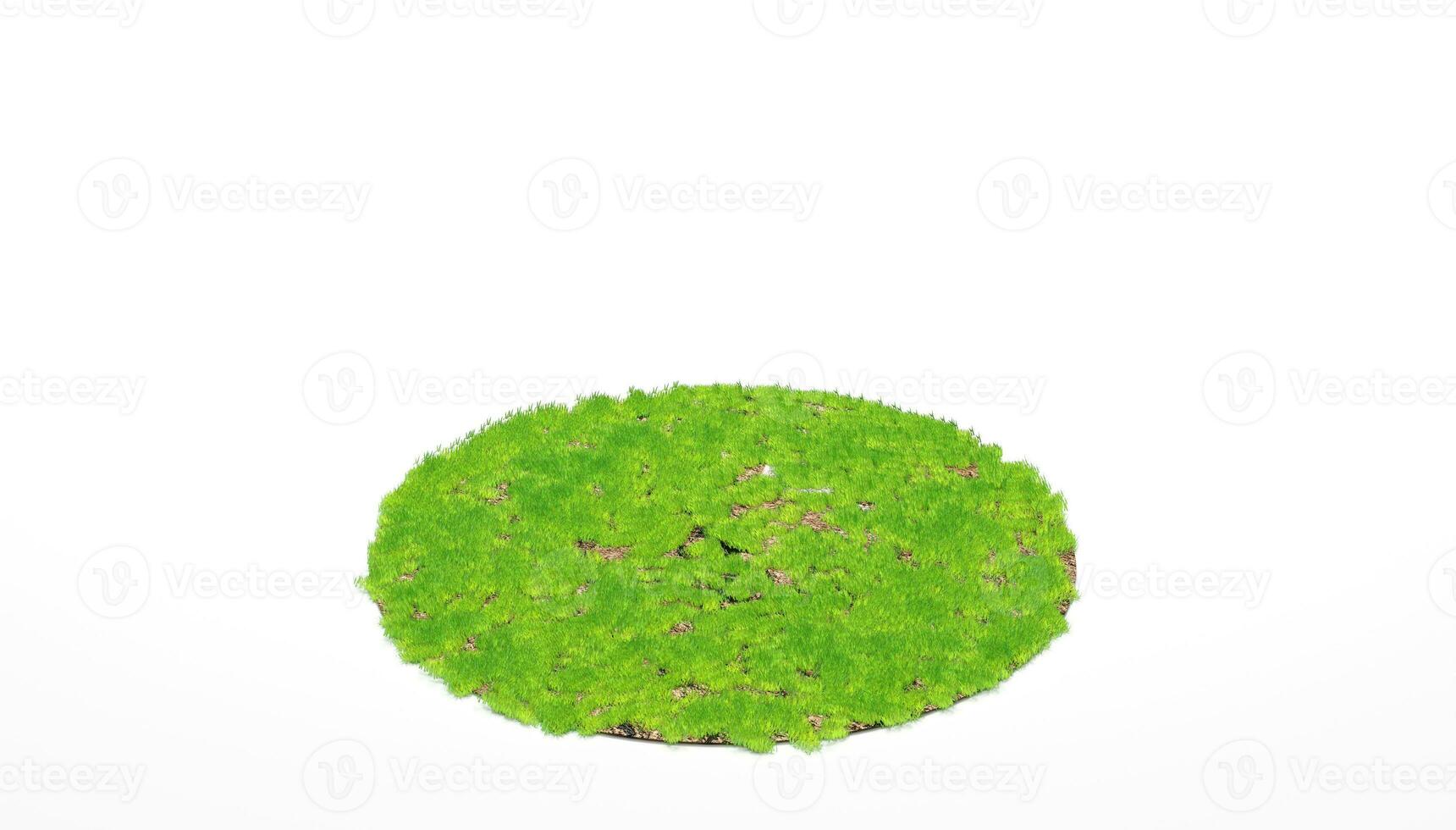3d rendering. Cross section of circle with green grass isolated on white background. photo
