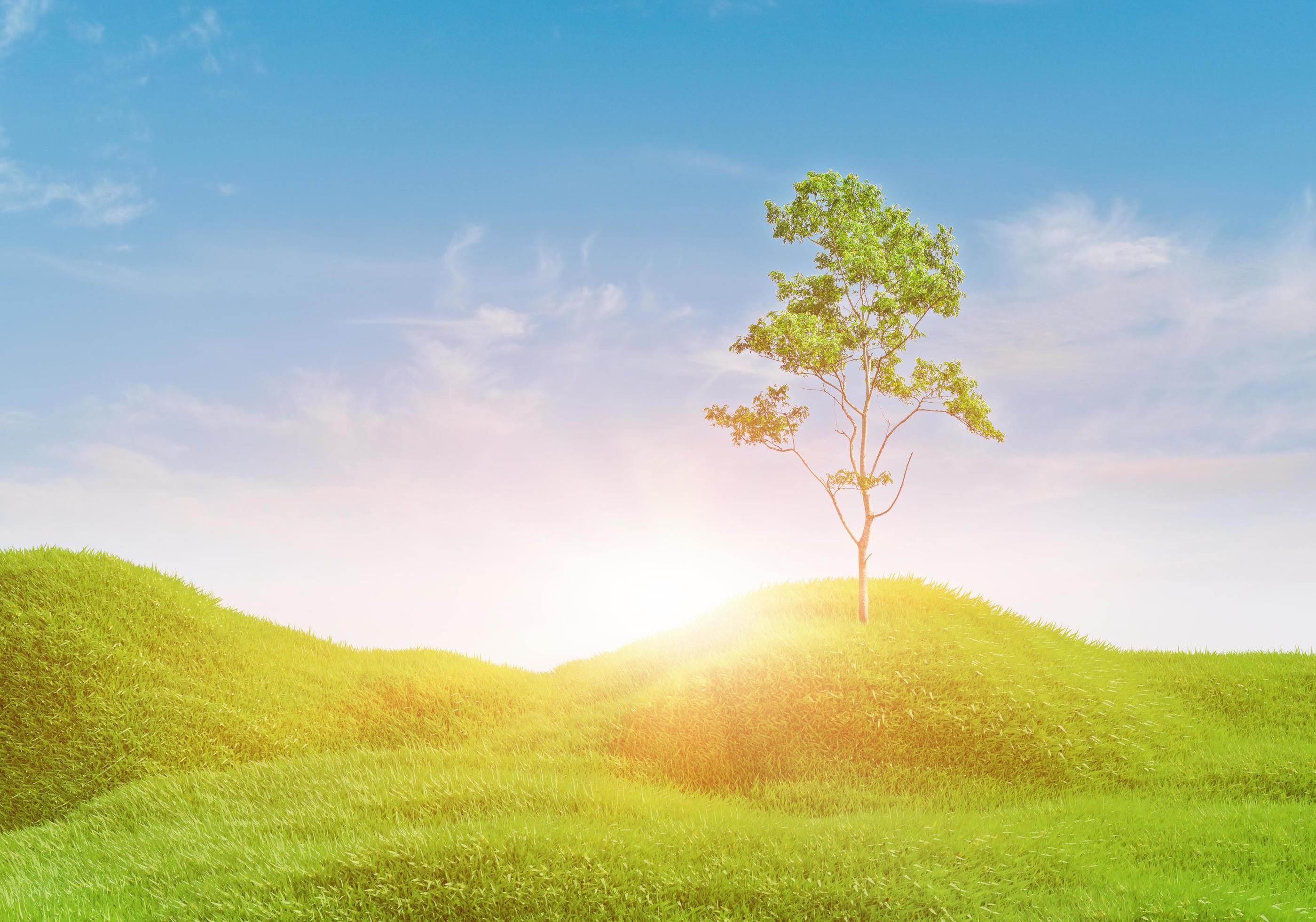 3d rendering. Green grass field with clouds and sun over blue sky background.  Nature landscape. 6193234 Stock Photo at Vecteezy