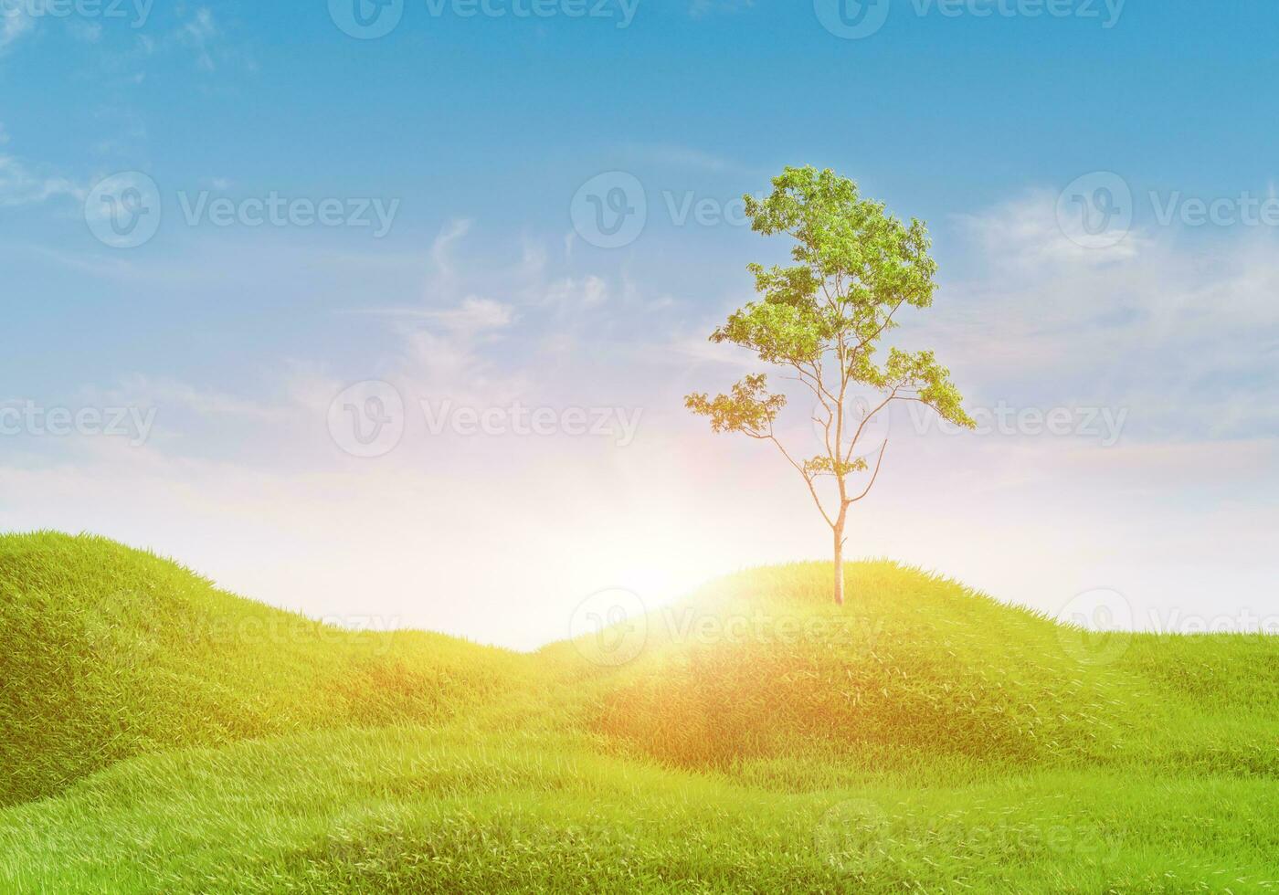 3d rendering. Green grass field with clouds and sun over blue sky background. Nature landscape. photo