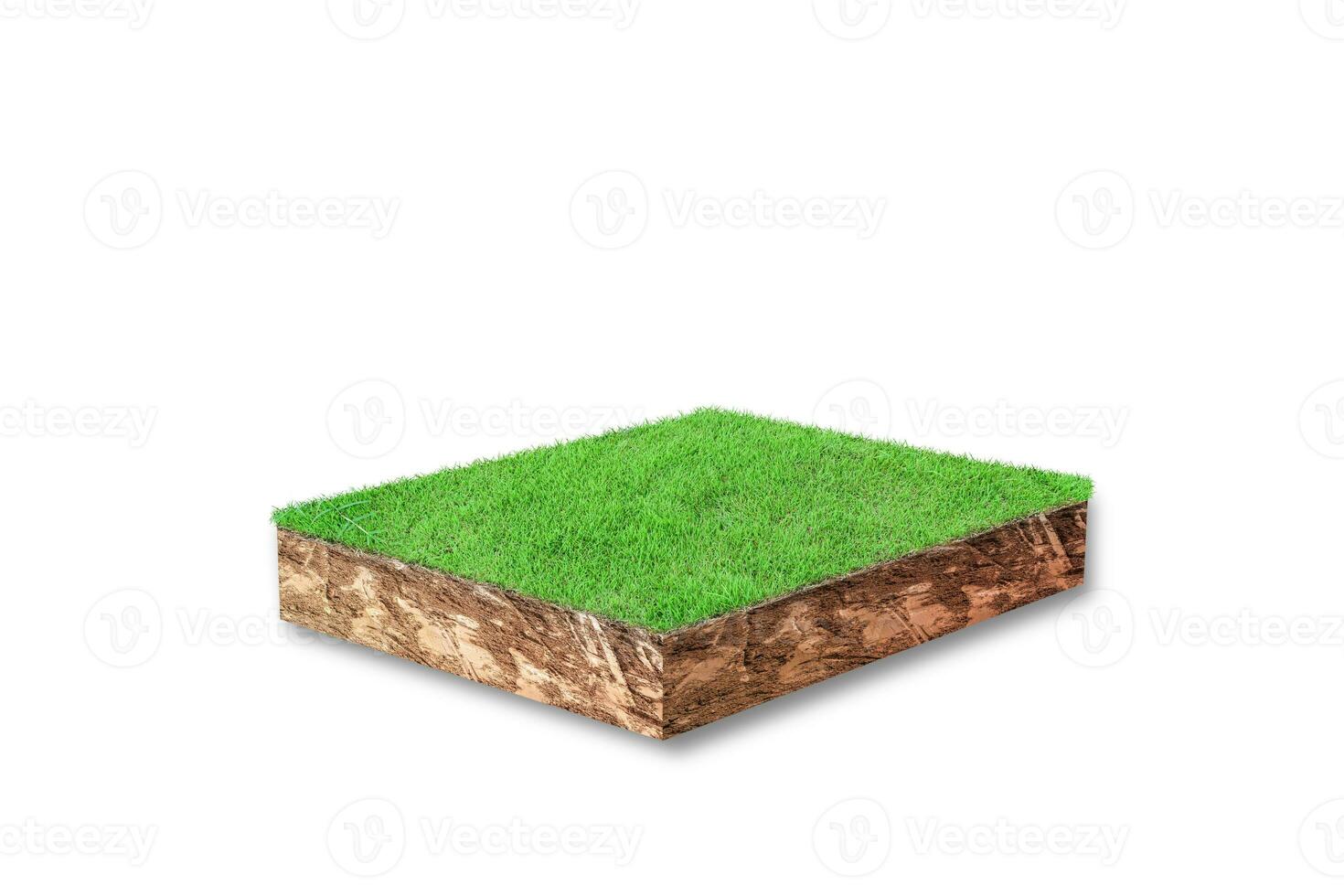 3D render. Soil cubical cross section with green grass isolated on white background photo